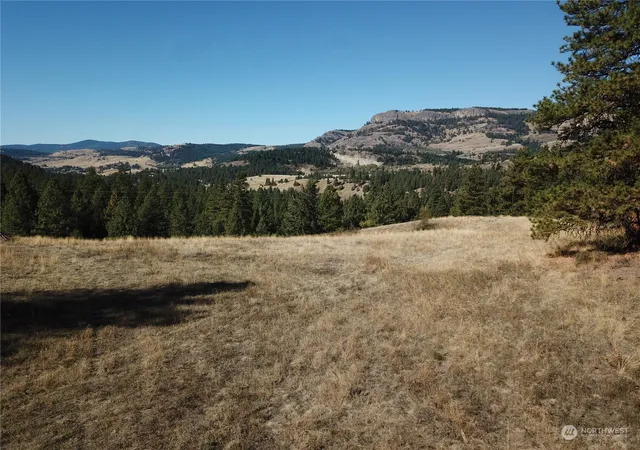 Photo 3 of Land for sale at 68 Jostin Ln, Malo, WA 99150 | MLS# NWM2292238 | Listing updated on 2026-10-12