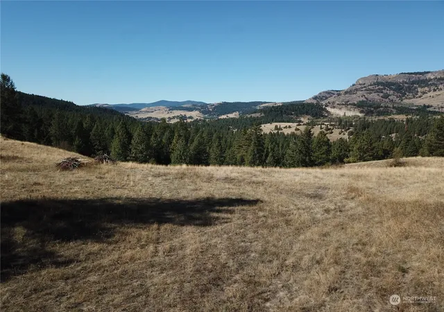 Photo 3 of Land for sale at 68 Jostin Ln, Malo, WA 99150 | MLS# NWM2292238 | Listing updated on 2026-10-12