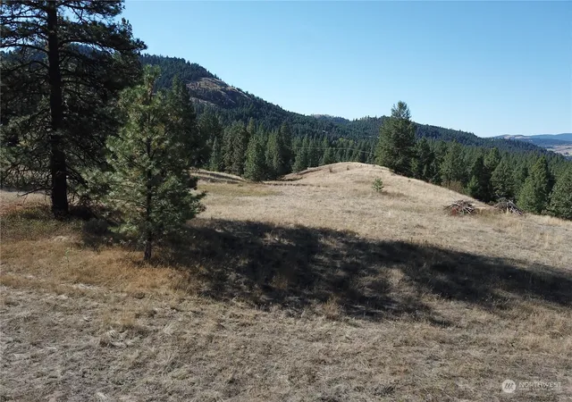 Photo 4 of Land for sale at 68 Jostin Ln, Malo, WA 99150 | MLS# NWM2292238 | Listing updated on 2026-10-12