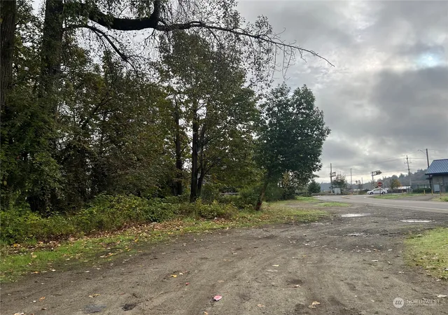 Photo 1 of Land for sale at 102 Park St, Shelton, WA 98584 | MLS# NWM2295552 | Listing updated on 2026-09-17