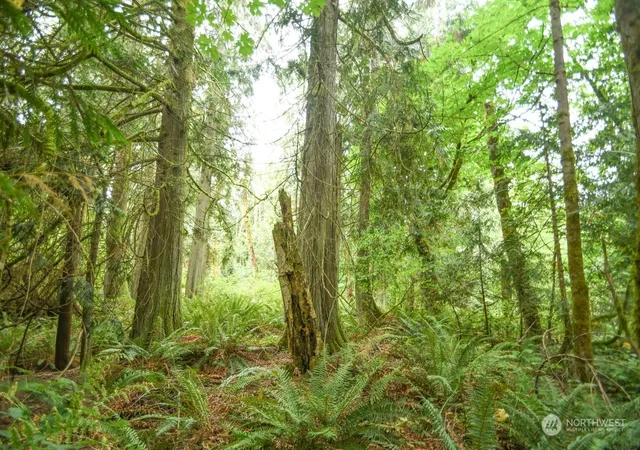 Photo 4 of Land for sale at 7047 Kellogg Dr NE, Olympia, WA 98516 | MLS# NWM2296112 | Listing updated on 2026-09-17
