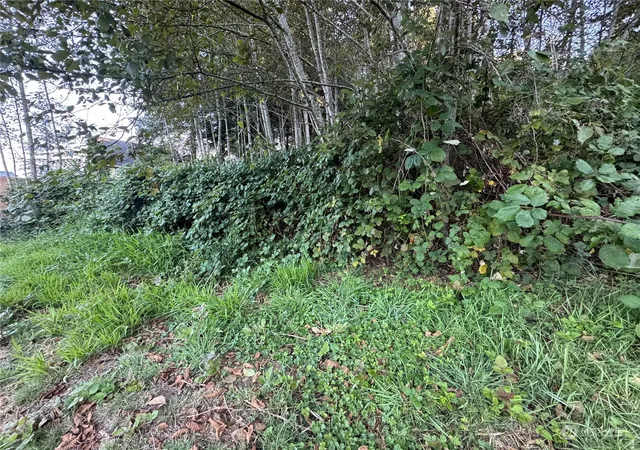 Photo 2 of Land for sale at 1020 Rayonier Ave, Hoquiam, WA 98550 | MLS# NWM2296898 | Listing updated on 2026-09-17