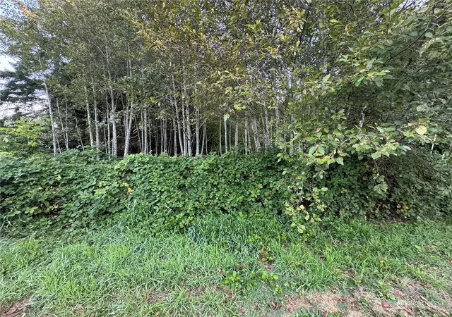 Photo 3 of Land for sale at 1020 Rayonier Ave, Hoquiam, WA 98550 | MLS# NWM2296898 | Listing updated on 2026-09-17
