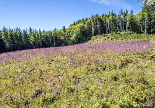 Photo 2 of Land for sale at 0 Hunter Rd, Longview, WA 98632 | MLS# NWM2298353 | Listing updated on 2026-09-17
