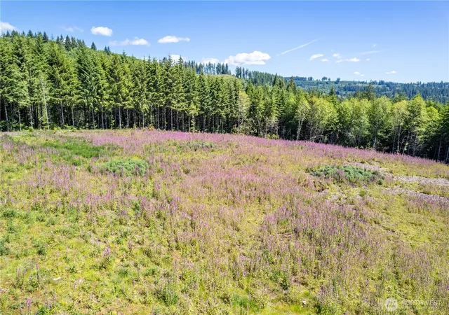 Photo 3 of Land for sale at 0 Hunter Rd, Longview, WA 98632 | MLS# NWM2298353 | Listing updated on 2026-09-17