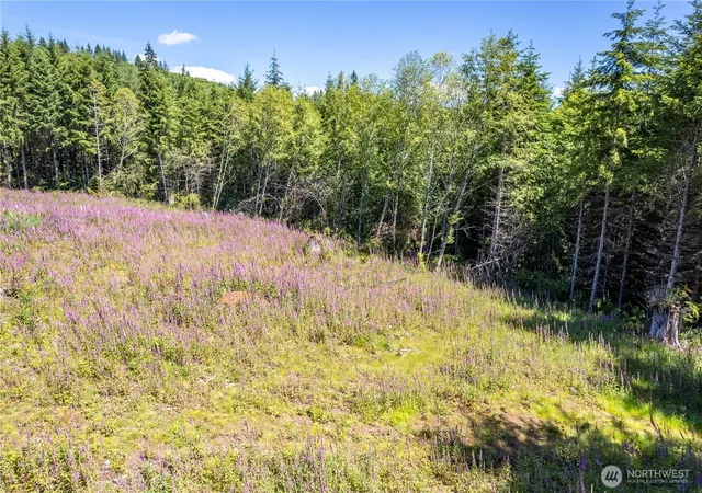 Photo 2 of Land for sale at 0 Orion Rd, Longview, WA 98632 | MLS# NWM2298358 | Listing updated on 2026-09-17