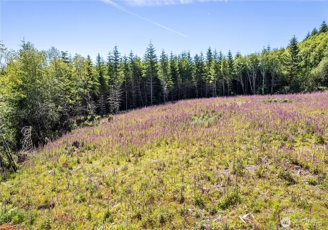 Photo 3 of Land for sale at 0 Orion Rd, Longview, WA 98632 | MLS# NWM2298358 | Listing updated on 2026-09-17