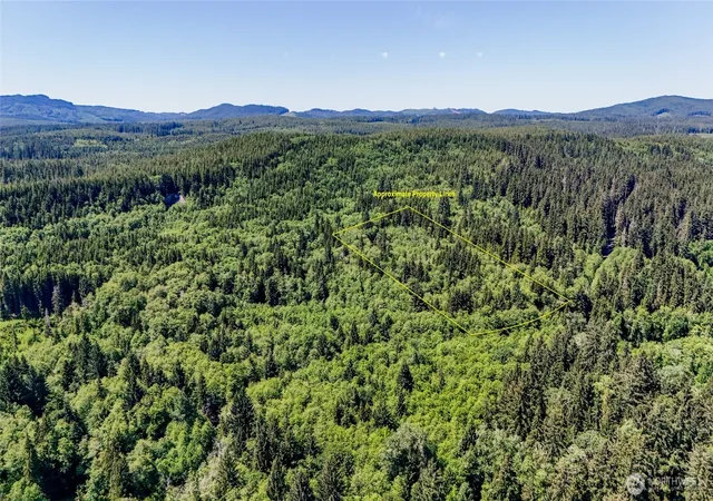 Photo 2 of Land for sale at 99992 Dowans Crk Rd, Forks, WA 98331 | MLS# NWM2302329 | Listing updated on 2026-09-17