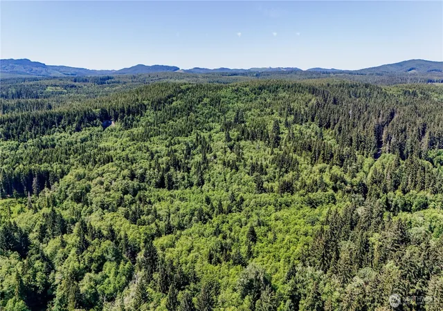 Photo 3 of Land for sale at 99992 Dowans Crk Rd, Forks, WA 98331 | MLS# NWM2302329 | Listing updated on 2026-09-17