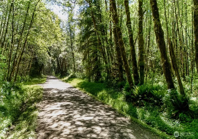 Photo 3 of Land for sale at 99994 Dowans Crk Rd, Forks, WA 98331 | MLS# NWM2302331 | Listing updated on 2026-09-17