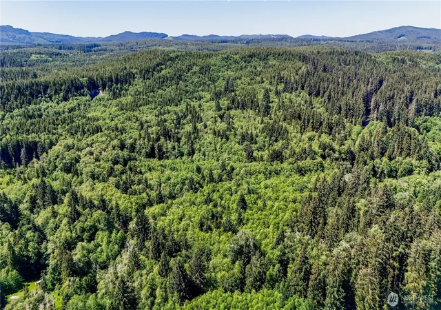 Photo 4 of Land for sale at 99994 Dowans Crk Rd, Forks, WA 98331 | MLS# NWM2302331 | Listing updated on 2026-09-17
