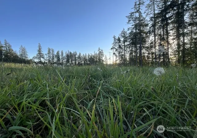 Land for sale at 5777 Kramer Rd, Langley, WA 98260 | MLS# NWM2303179