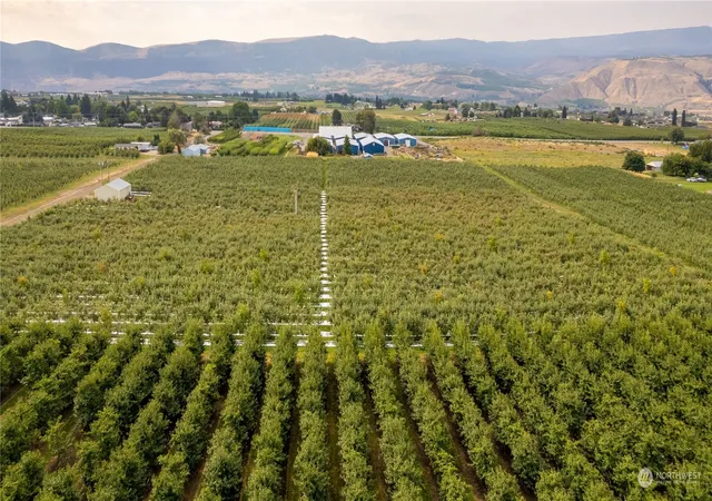 Photo 3 of Single family home for sale at 0 N Quincy Ave, East Wenatchee, WA 98802 | MLS# NWM2303377 | Listing updated on 2026-09-17