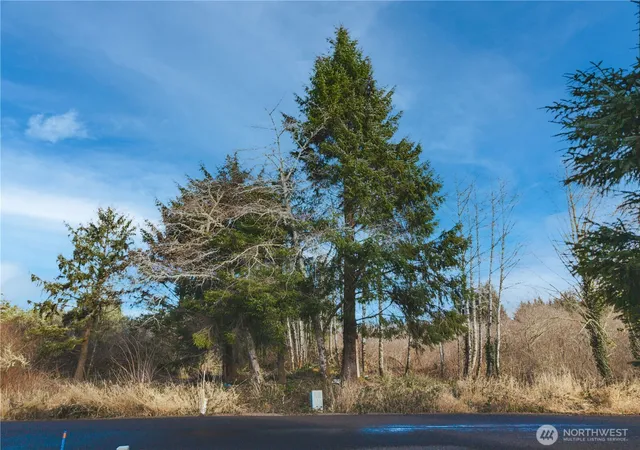 Photo 2 of Land for sale at 3507 102nd Street, Long Beach, WA 98631 | MLS# NWM2307628 | Listing updated on 2026-09-17