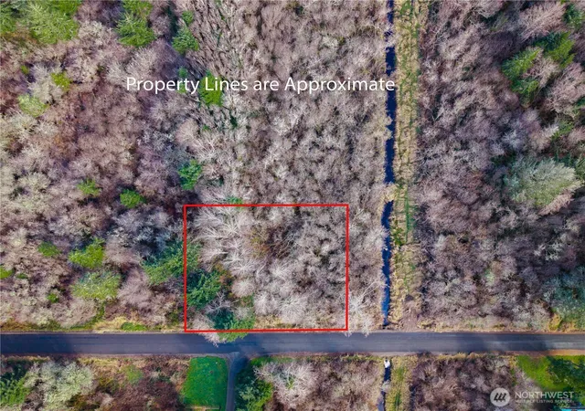 Photo 3 of Land for sale at 3507 102nd Street, Long Beach, WA 98631 | MLS# NWM2307628 | Listing updated on 2026-09-17
