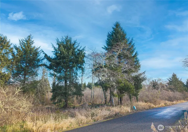 Photo 4 of Land for sale at 3507 102nd Street, Long Beach, WA 98631 | MLS# NWM2307628 | Listing updated on 2026-09-17