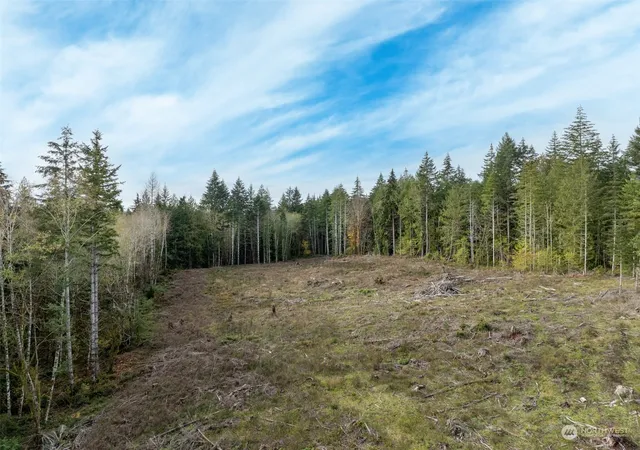 Photo 2 of Land for sale at 0 E Strong Rd #34, Shelton, WA 98584 | MLS# NWM2308734 | Listing updated on 2026-09-17