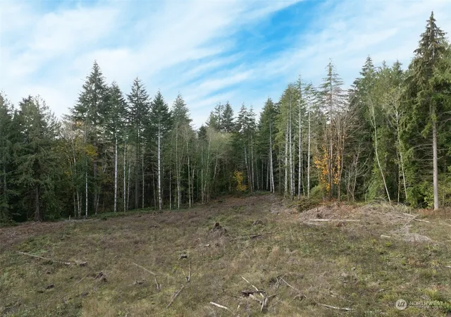 Photo 3 of Land for sale at 0 E Strong Rd #34, Shelton, WA 98584 | MLS# NWM2308734 | Listing updated on 2026-09-17