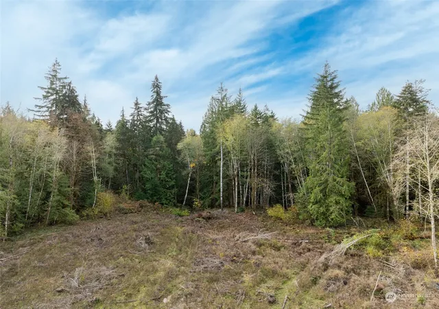 Photo 2 of Land for sale at 0 E Strong Rd #43, Shelton, WA 98584 | MLS# NWM2308755 | Listing updated on 2026-09-17