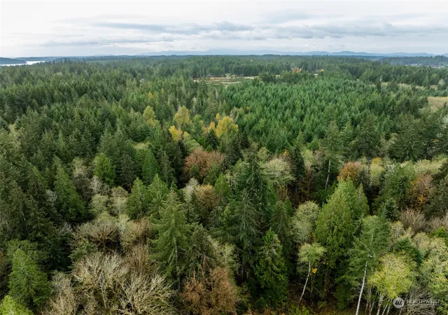 Photo 3 of Land for sale at 0 E Strong Rd #43, Shelton, WA 98584 | MLS# NWM2308755 | Listing updated on 2026-09-17