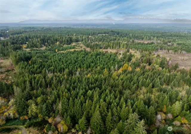 Photo 4 of Land for sale at 0 E Strong Rd #43, Shelton, WA 98584 | MLS# NWM2308755 | Listing updated on 2026-09-17