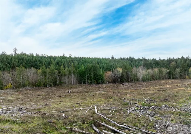 Photo 2 of Land for sale at 0 E Cottonwood Dr #40, Mc Cleary, WA 98557 | MLS# NWM2308766 | Listing updated on 2026-09-17