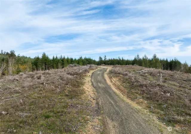 Photo 3 of Land for sale at 0 E Cottonwood Dr #40, Mc Cleary, WA 98557 | MLS# NWM2308766 | Listing updated on 2026-09-17