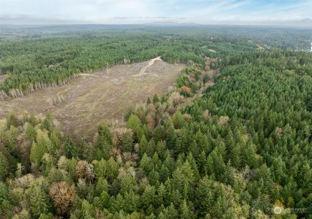 Photo 4 of Land for sale at 0 E Cottonwood Dr #40, Mc Cleary, WA 98557 | MLS# NWM2308766 | Listing updated on 2026-09-17