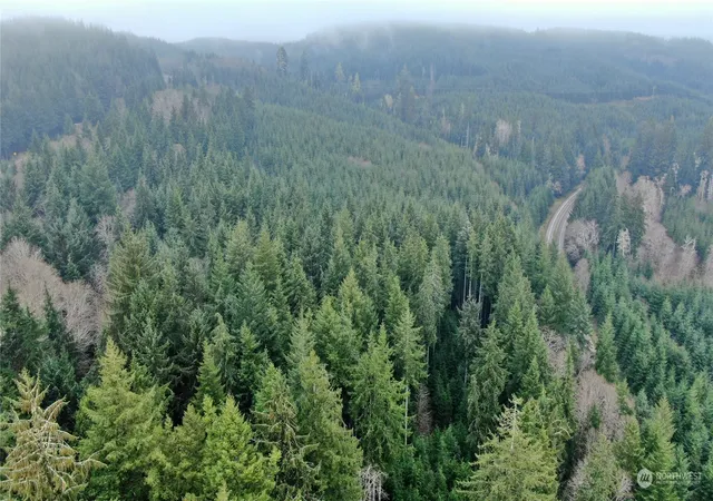 Photo 3 of Land for sale at 0 Mp 1 State Route 107, Cosmopolis, WA 98537 | MLS# NWM2311099 | Listing updated on 2026-09-17