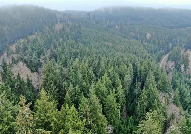 Photo 3 of Land for sale at 0 Mp 1 State Route 107, Cosmopolis, WA 98537 | MLS# NWM2311099 | Listing updated on 2026-09-17