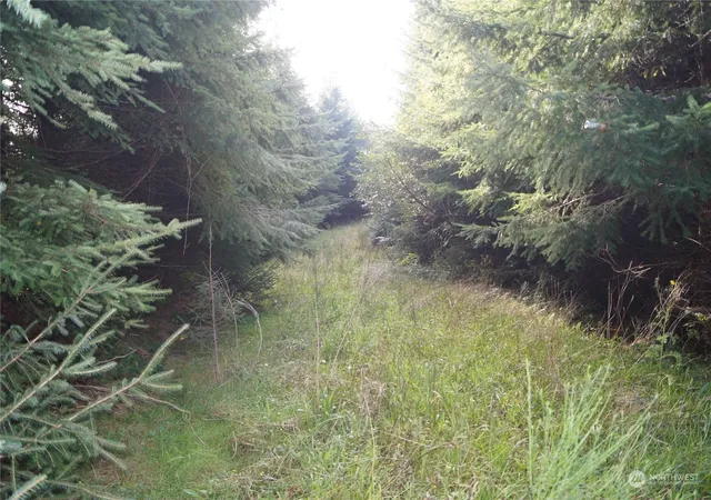 Photo 4 of Land for sale at 0 Mp 1 State Route 107, Cosmopolis, WA 98537 | MLS# NWM2311099 | Listing updated on 2026-09-17