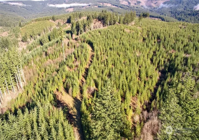Photo 2 of Sale Pending at 3 Ne Jones Crk Rd, Camas, WA 98607 | MLS# NWM2311251 | Listing updated on 2026-09-28