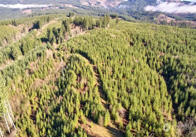 Photo 3 of Sale Pending at 3 Ne Jones Crk Rd, Camas, WA 98607 | MLS# NWM2311251 | Listing updated on 2026-09-28