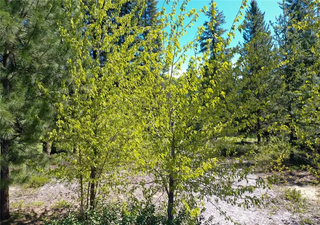 Photo 3 of Land for sale at 20685 Miracle Mile, Leavenworth, WA 98826 | MLS# NWM2312493 | Listing updated on 2026-09-17