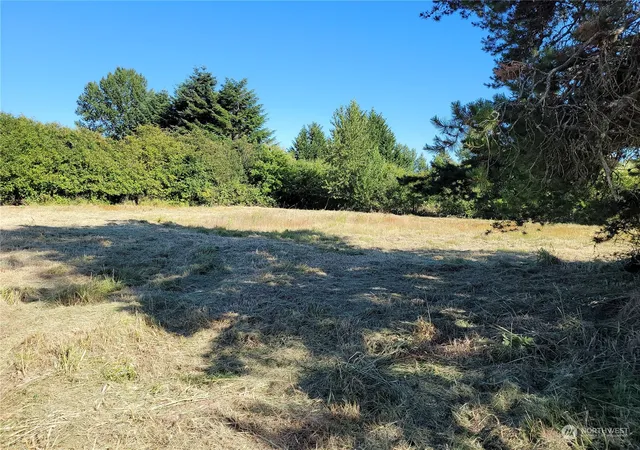 Photo 3 of Land for sale at 833 20th Street SW, Chehalis, WA 98532 | MLS# NWM2314758 | Listing updated on 2026-09-17