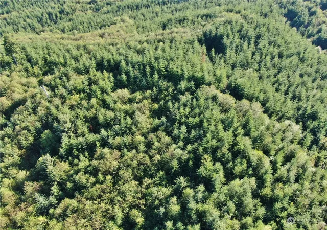 Photo 2 of Land for sale at 0 Off Of Butte Crk Rd, Raymond, WA 98577 | MLS# NWM2315561 | Listing updated on 2026-09-17