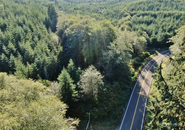 Photo 3 of Land for sale at 0 Nka Butte Crk Rd, Raymond, WA 98577 | MLS# NWM2315596 | Listing updated on 2026-09-17