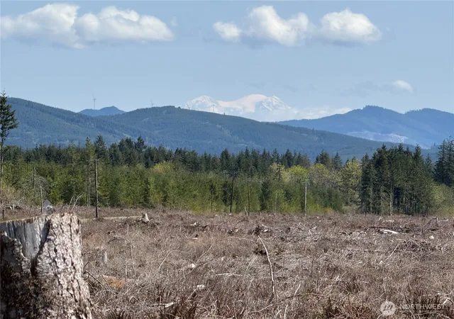 Photo 1 of Land for sale at 2 Xx Oppelt Rd, Onalaska, WA 98570 | MLS# NWM2320612 | Listing updated on 2026-09-17