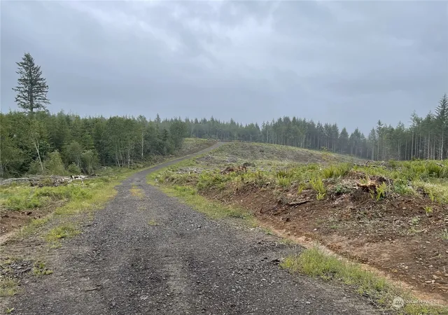 Photo 3 of Land for sale at 2 Xx Oppelt Rd, Onalaska, WA 98570 | MLS# NWM2320612 | Listing updated on 2026-09-17