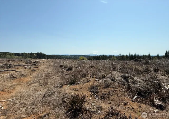 Photo 4 of Land for sale at 2 Xx Oppelt Rd, Onalaska, WA 98570 | MLS# NWM2320612 | Listing updated on 2026-09-17