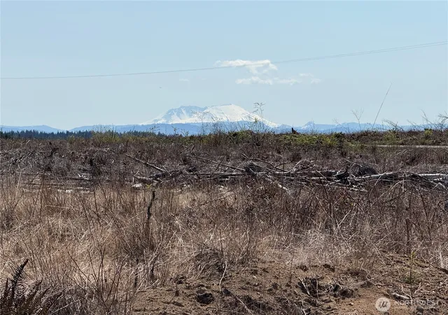 Photo 3 of Land for sale at 3 Xx Centralia Alpha Rd, Onalaska, WA 98570 | MLS# NWM2320615 | Listing updated on 2026-09-17