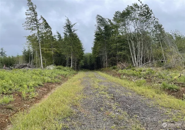 Photo 3 of Land for sale at 3 Xx Centralia Alpha Rd, Onalaska, WA 98570 | MLS# NWM2320615 | Listing updated on 2026-09-17