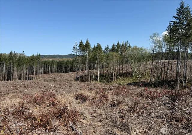 Photo 4 of Land for sale at 3 Xx Centralia Alpha Rd, Onalaska, WA 98570 | MLS# NWM2320615 | Listing updated on 2026-09-17
