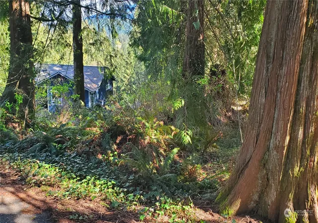 Photo 3 of Land for sale at 750 West Rd, Sedro Woolley, WA 98284 | MLS# NWM2321416 | Listing updated on 2026-09-17
