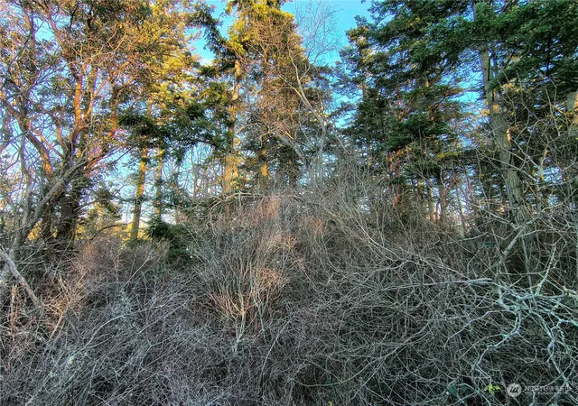 Photo 3 of Land for sale at 0 Sherman, Port Townsend, WA 98368 | MLS# NWM2323968 | Listing updated on 2026-09-17