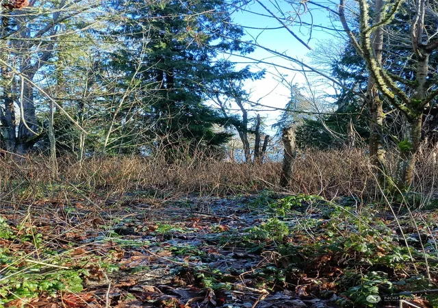 Photo 2 of Land for sale at 50 K Beach Way, Hat Island, WA 98206 | MLS# NWM2324589 | Listing updated on 2026-09-17
