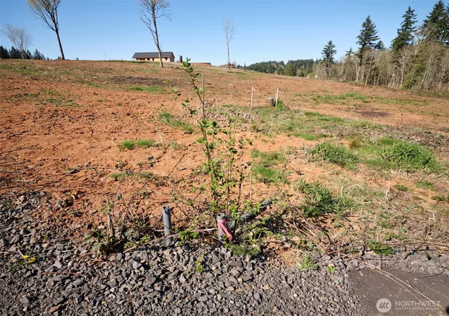 Photo 3 of Land for sale at 312 Dolan Rd, Castle Rock, WA 98611 | MLS# NWM2326699 | Listing updated on 2026-09-17