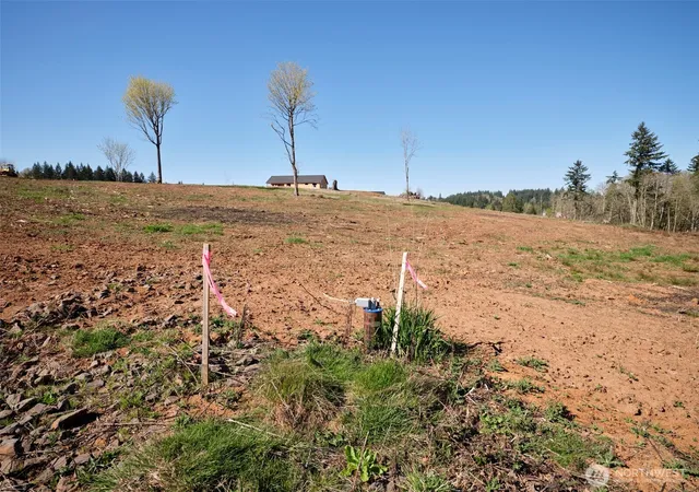 Photo 4 of Land for sale at 312 Dolan Rd, Castle Rock, WA 98611 | MLS# NWM2326699 | Listing updated on 2026-09-17