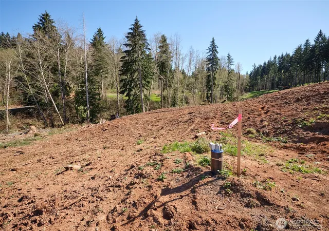 Photo 3 of Land for sale at 315 Dolan Rd, Castle Rock, WA 98611 | MLS# NWM2326720 | Listing updated on 2026-09-17