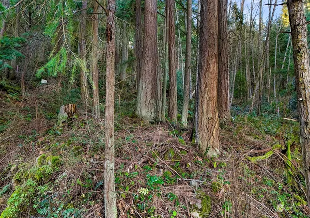 Photo 4 of Land for sale at 2981 Hales Psge Dr, Lummi Island, WA 98262 | MLS# NWM2327685 | Listing updated on 2026-09-17
